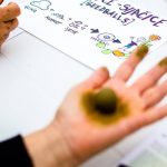 12006260_1198494123501215_1839658484751322941_n