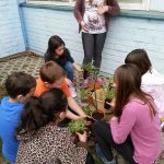 12961558_1336505303033429_6218397059919158296_n