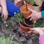 13001259_1336505123033447_4220516423022913667_n