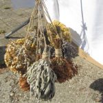 14572252_1474144145936210_7400386187543988475_n