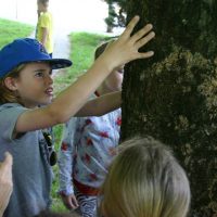 32074763_2146011915416093_389382941941170176_n