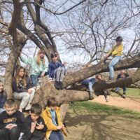 WhatsApp Image 2022-04-30 at 08.05.23