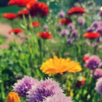 280671374_5763811370302778_8541520459664466487_n