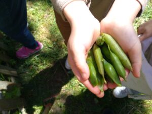 IMG_20240429_131549