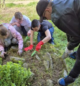 Dizajn bez naslova - 1