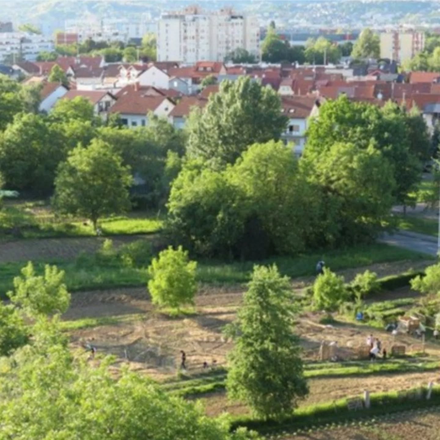 drustveni vrt-panorama