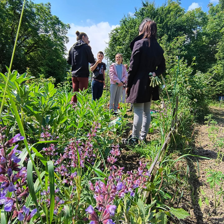 osoba s int-teskocama-u vrtu10