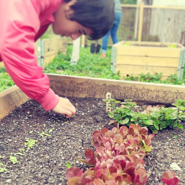 povisena gredica-tuskanac1