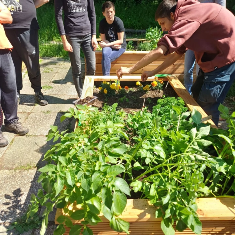 povisene gredice-tuskanac1